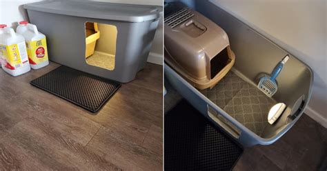 litter box in a room with carpet