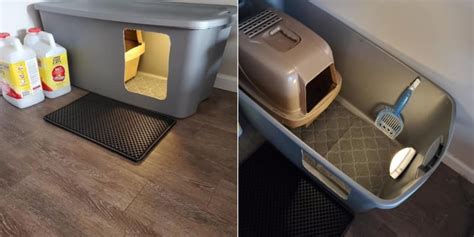 litter box in a room with carpet