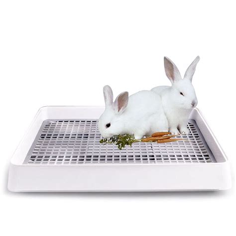 litter box liners for rabbits