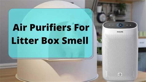 litter box odor air purifier