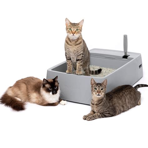 litter box options for multiple cats