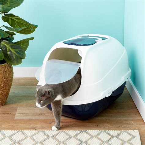 litter box size for two cats