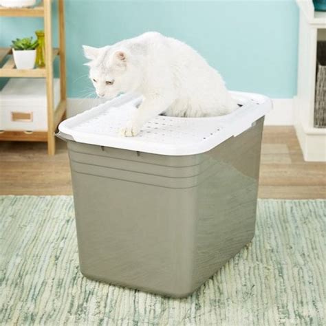 litter box solutions to keep dogs out