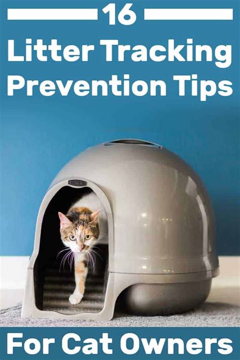 litter box solutions tracking