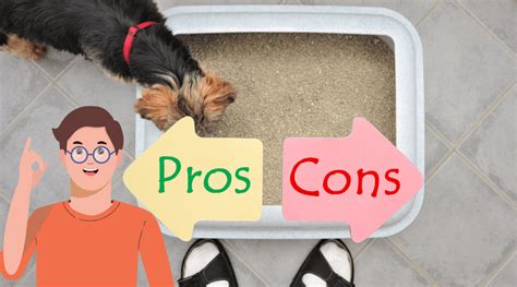 litter box training a dog pros cons