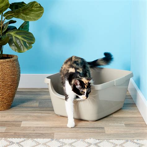 litter box with high sides