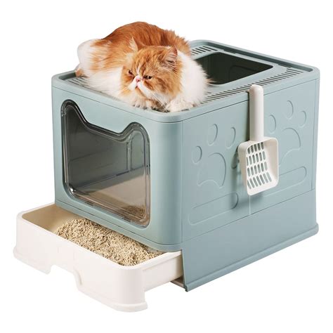 litter box with lid and door