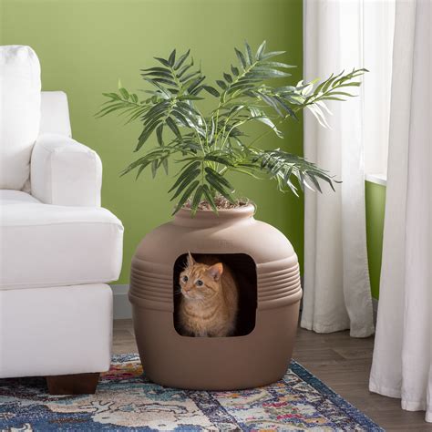 litter box with plant on top