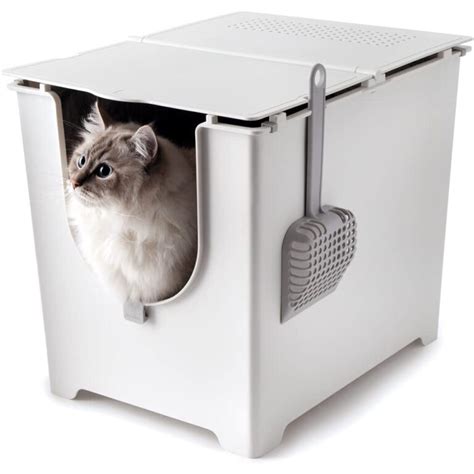 litter box with tall sides