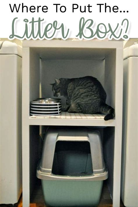 Litter Boxes For Tiny Homes