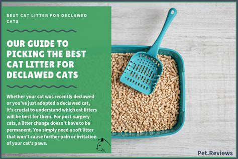litter for declawed cats