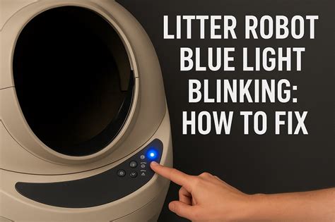 litter robot 3 blinking blue light