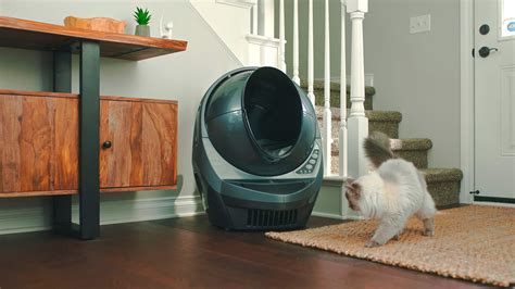 Litter Robot 3 Won't Connect To Wifi
