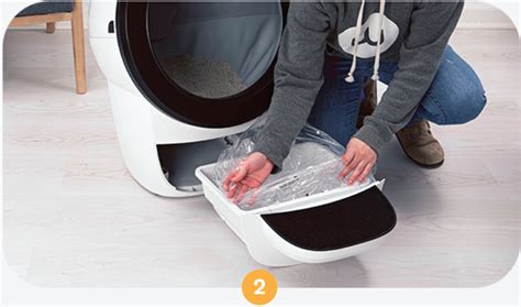 Litter Robot Empty