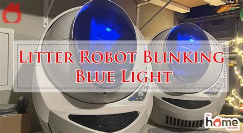Litter Robot Troubleshooting Blinking Blue Light