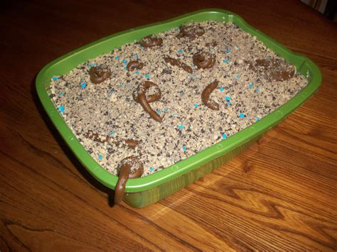Litter Tray Cake