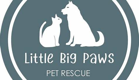 Small Paws Rescue – Donate