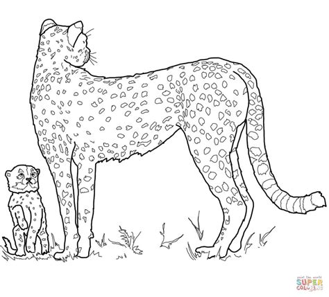 little baby cheetah coloring page