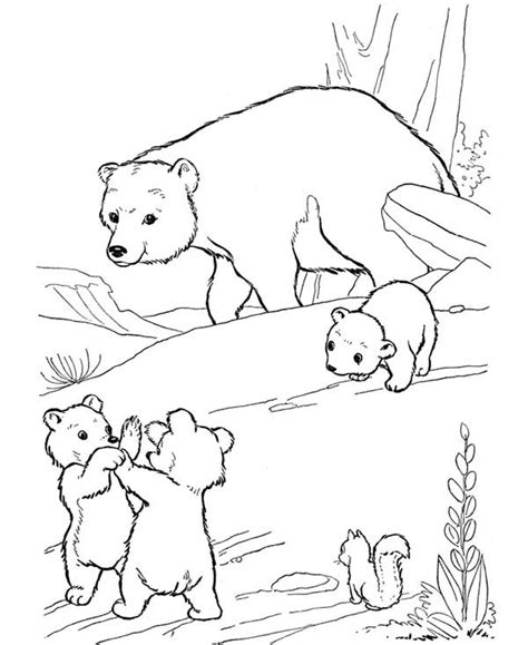 little bear fight among themselves coloring page