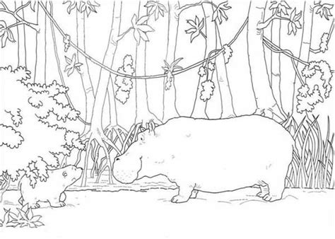 little bear meet hippo coloring page