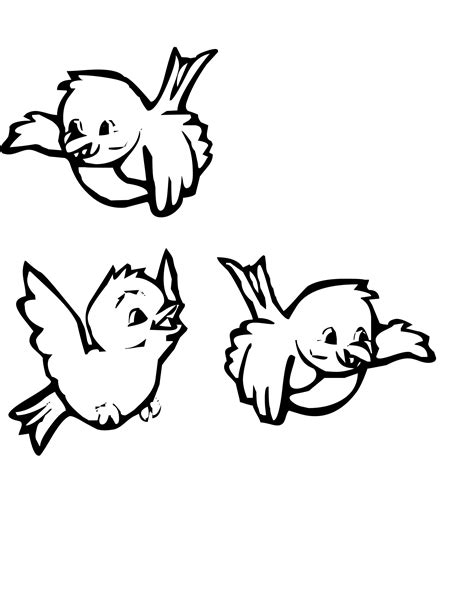 little bird coloring pages