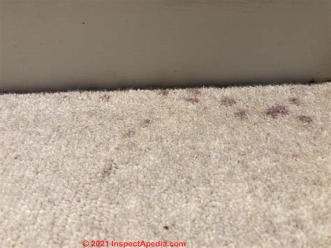 little black ink that appears on carpets