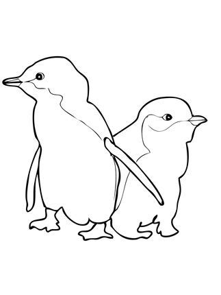 little blue penguin coloring page