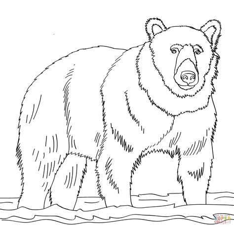 little brown bear coloring pages