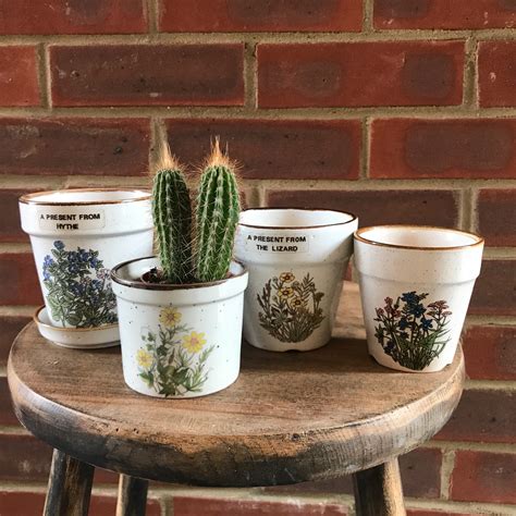 little ceramic plant pots