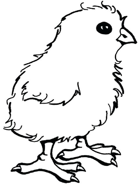 little chick coloring pages
