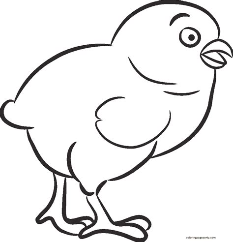 little chicken coloring pages