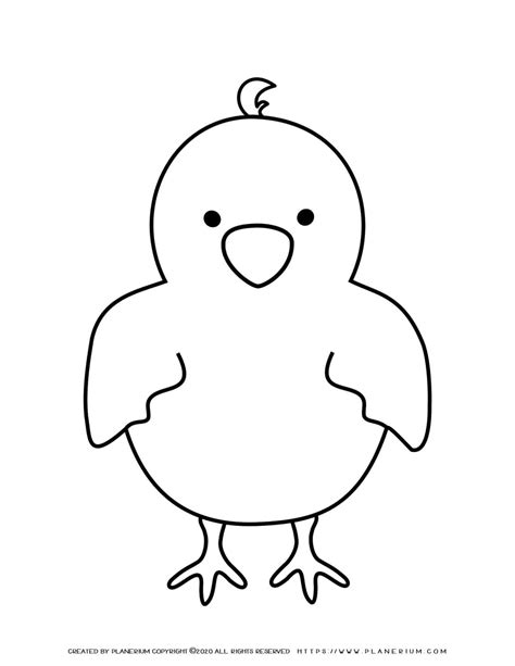 little chicks coloring pages