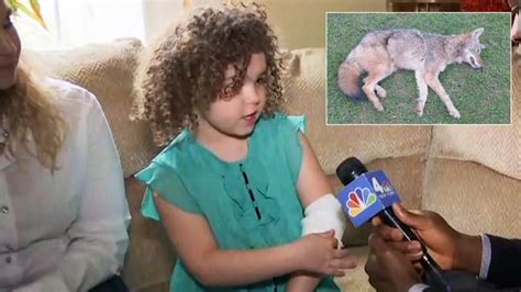 little girl attacked by coyote