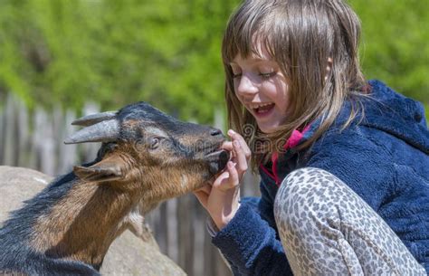 little girl goat video