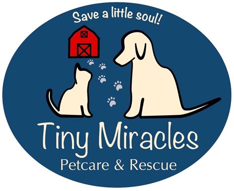 little miracles pet rescue