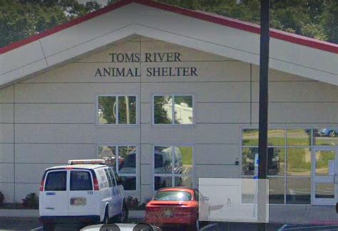 little river animal shelter