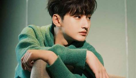 Liu Te (Chinese Idol/Actor) | Actors, Cute actors, Asian actors