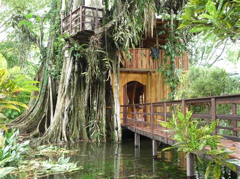 livable tree houses in costa rica