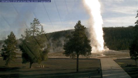 live cam of yellowstone national park