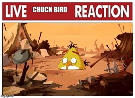Live Chuck Reaction