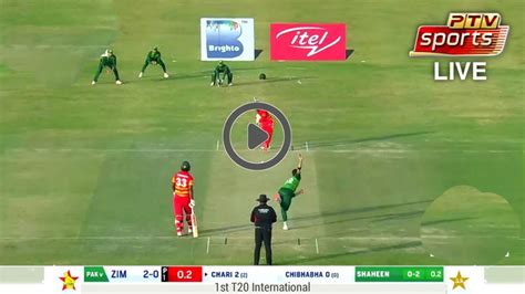 live cricket match today pakistan vs zimbabwe