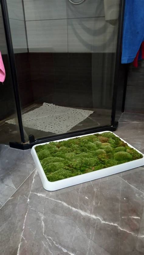 Live Moss Bath Mats