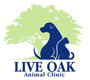 live oak animal hospital florida