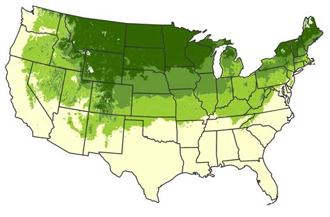 Live Oak Growing Range