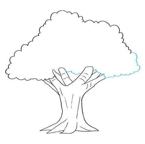 Live Oak Tree Drawing Easy