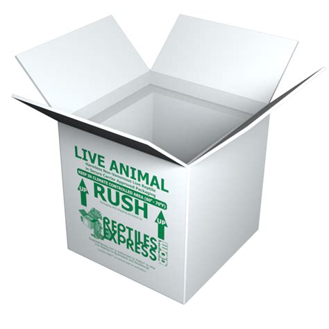 Live Reptile Shipping Boxes