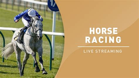 live streaming of horse racing events