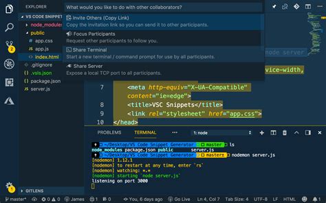 live visual studio code