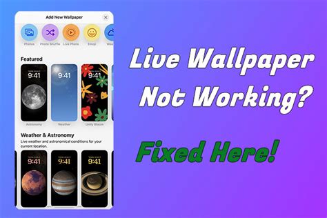 Live Wallpaper Is Not Working