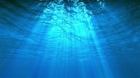 Live Wallpaper Underwater